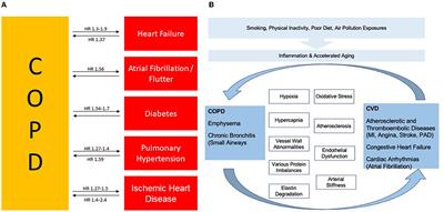 Triple Therapy in COPD: Can We Welcome the Reduction in Cardiovascular Risk and Mortality?